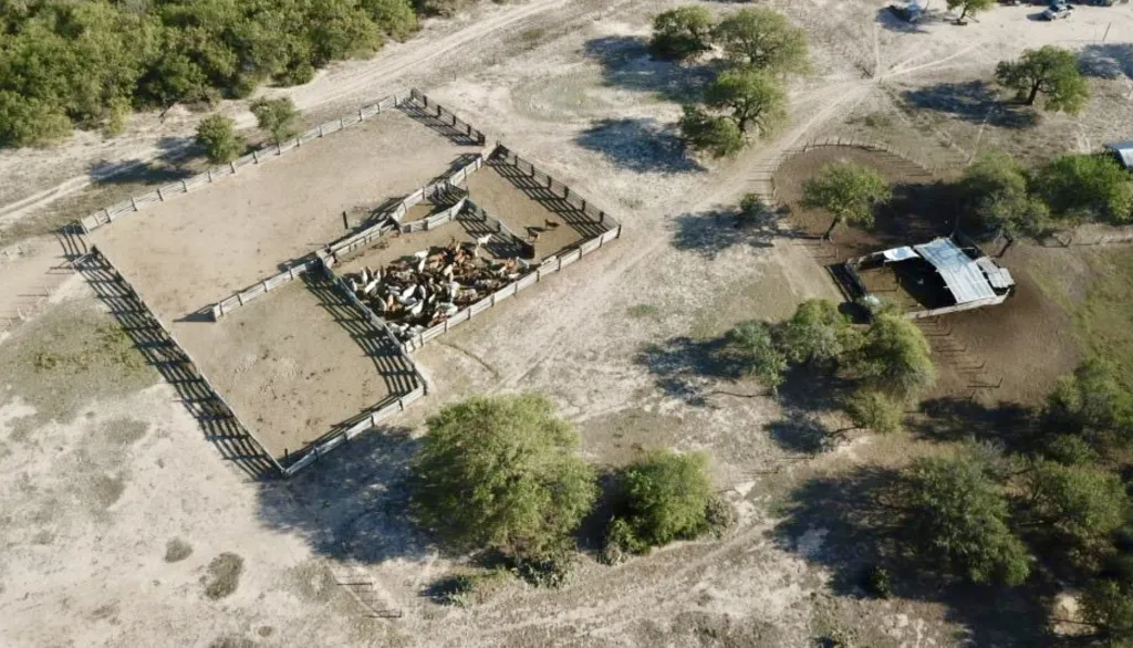 Campo Ganadero en Teniente Martinez - 921 Ha. — foto 3