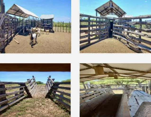 Campo en venta en Campo Aceval, Teniente Primero Manuel Irala Fernández — foto 2
