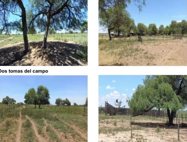 Campo en venta en Campo Aceval, Teniente Primero Manuel Irala Fernández — foto 3