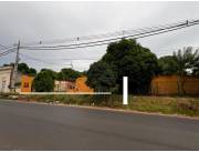 VENDO 3 TERRENOS EN ESQUINA LUQUE ZONA CENTRO