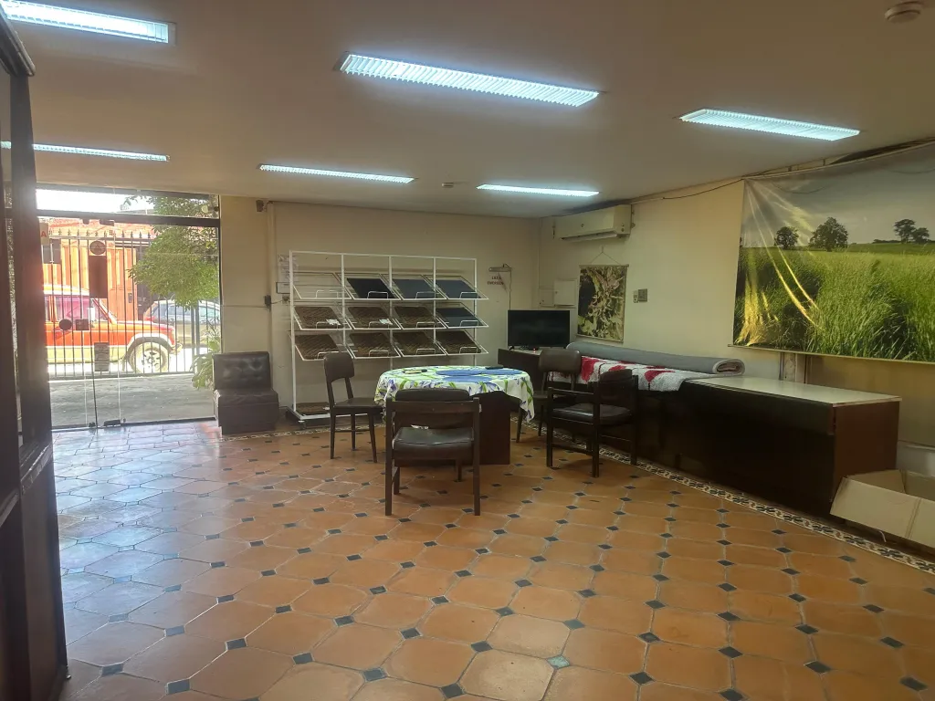 Vendo propiedad de 885 m2 Zona Artigas — foto 3