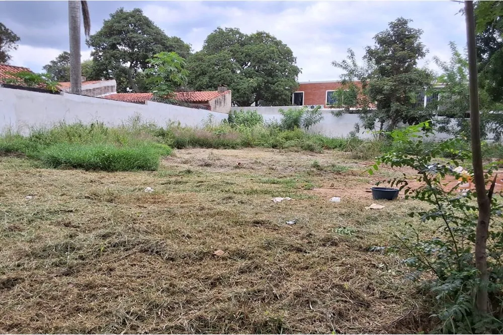ENDO TERRENO–LUQUE LOMA MERLO-24X35 — foto 3