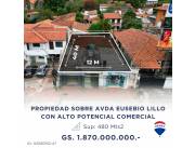 PROPIEDAD SOBRE EUSEBIO LILLO CON ALTO POTENCIAL COMERCIAL