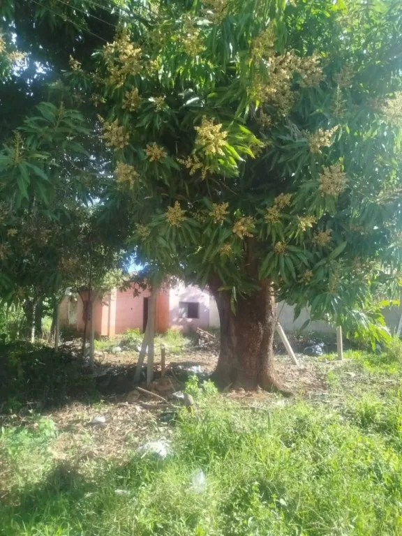 VENDO HERMOSO Y AMPLIO TERRENO DE 600 m2 EN BARRIO LUCERITO DE SAN LORENZO — foto 2