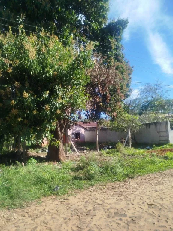 VENDO HERMOSO Y AMPLIO TERRENO DE 600 m2 EN BARRIO LUCERITO DE SAN LORENZO — foto 3