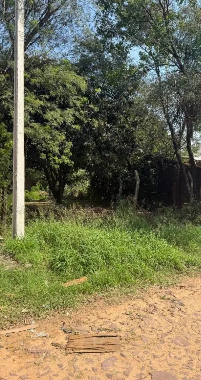 Vendo terreno en Luque – Entrada al Barrio Palma Loma — foto 2