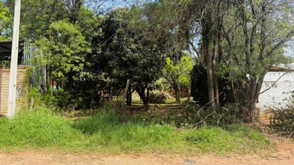 Vendo terreno en Luque – Entrada al Barrio Palma Loma — foto 3