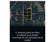 VENDO 6 TERRENOS JUNTOS EN ALTOS ( cordillera )