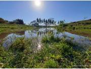 Propiedad de 10 ha en venta – Casa + lago + zona de cultivo (La Colmena)