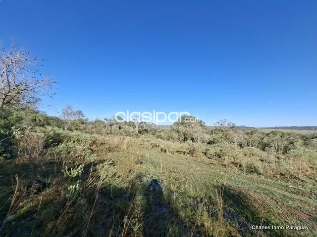 Propiedad de 41 ha en venta – Arroyos, playa y vistas únicas (La Colmena) — foto 3