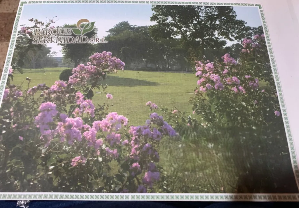 LOTE DE CEMENTERIO EN PARQUE SERENIDAD - VILLA ELISA — foto 2
