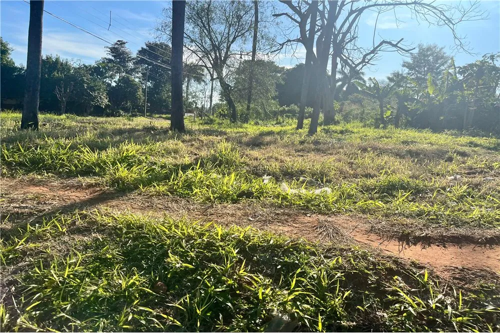ALQUILO TERRENO EN NEMBY — foto 2