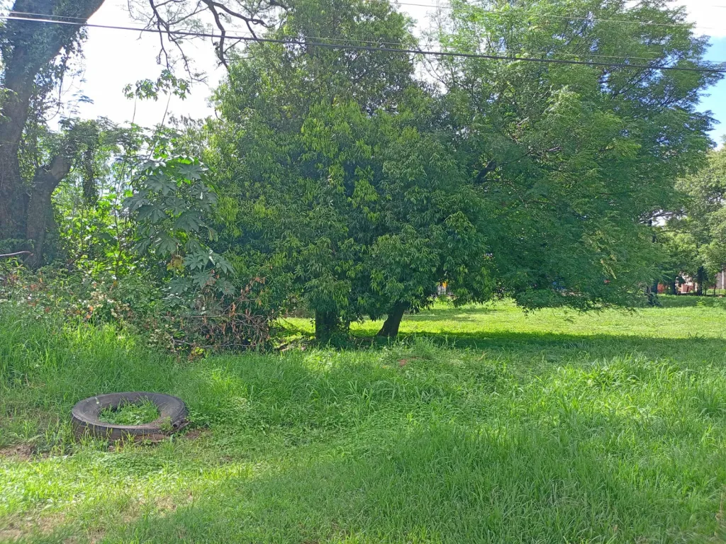 En venta terreno cod 4258 — foto 2