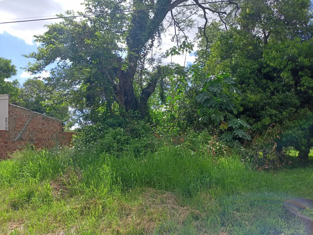 En venta terreno cod 4258 — foto 3