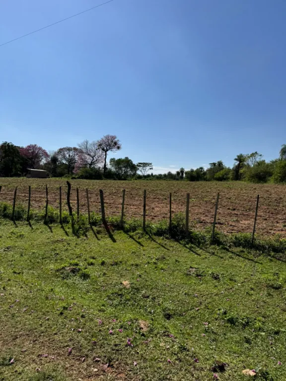 Vendo Hermosa Propiedad de 250 Hectáreas en Loma Grande - LCS7334038 — foto 3