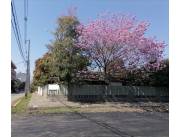 TERRENO EN CAMPO GRANDE ASUNCIÓN sil