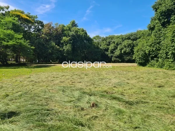VENDO IMPONENTE TERRENO SOBRE SANTA TERESA — foto 3