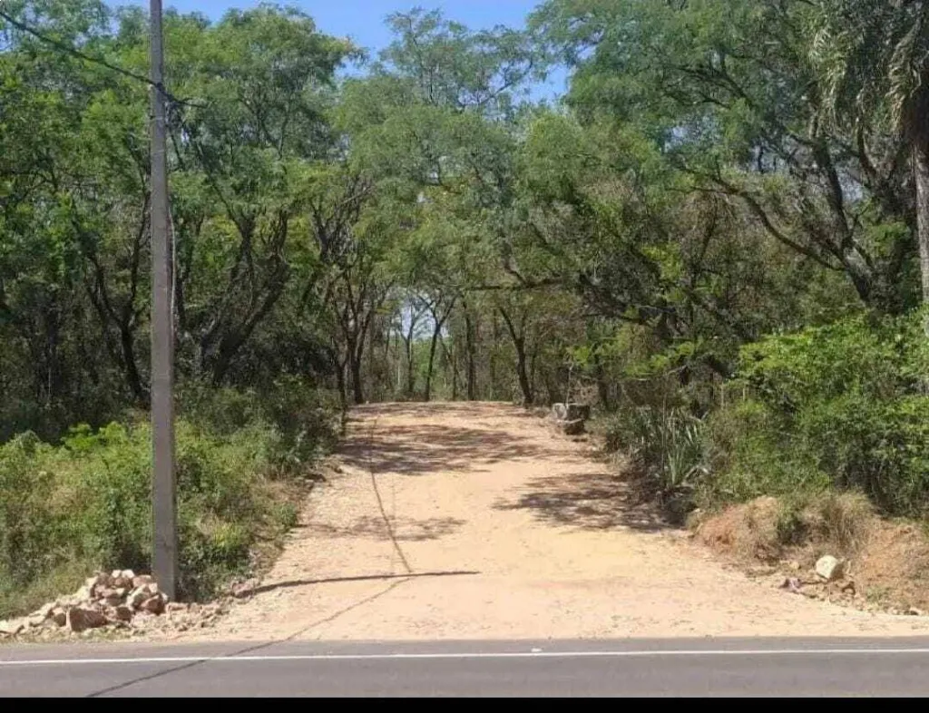 VENDO AMPLIO TERRENO EN SAN BERNARDINO ZONA CIERVO CUA — foto 2