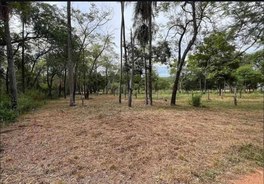 VENDO AMPLIO TERRENO EN SAN BERNARDINO ZONA CIERVO CUA — foto 3