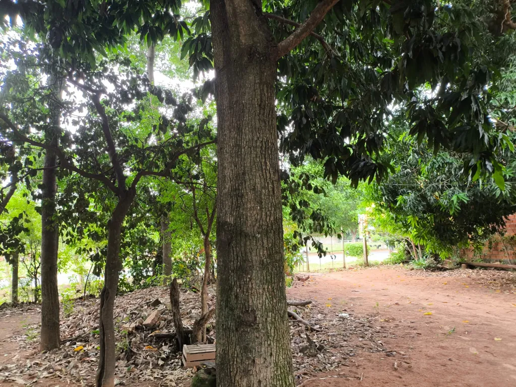 Terreno sobre asfalto en Aregua — фото 3
