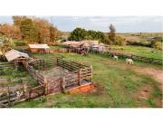 VENDO ESTANCIA 2.045 HECTAREAS EN SAN PEDRO