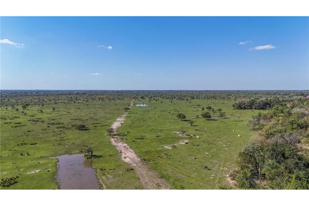 VENDO ESTANCIA 1040 HECTAREAS EN ARROYOS Y ESTEROS A 10KM DE RUTA 3-USO PECUARIO Y OTROS — foto 2