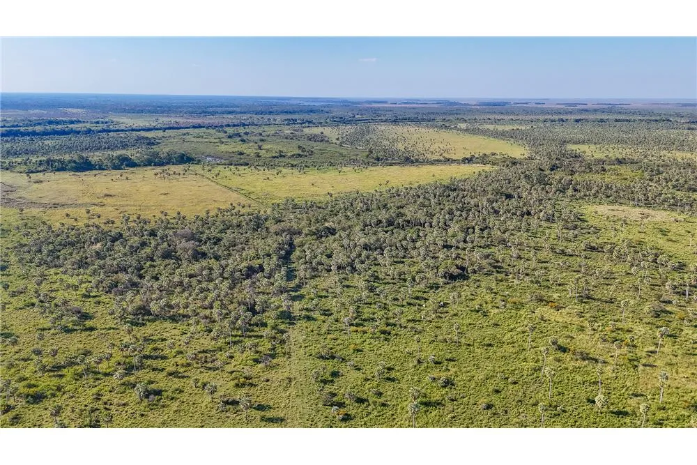 VENDO ESTANCIA 1040 HECTAREAS EN ARROYOS Y ESTEROS A 10KM DE RUTA 3-USO PECUARIO Y OTROS — foto 3
