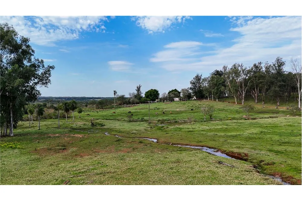VENDO ESTANCIA AGROGANADERA 2.045 HECTAREAS-SAN PEDRO CIERVO BARRERO A 309 KM DE ASUNCION — foto 2