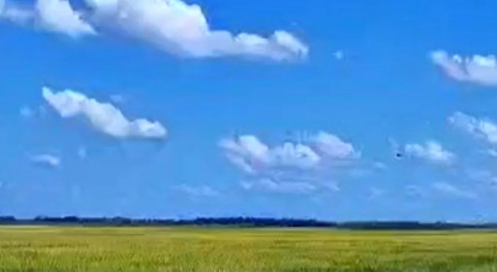 VENDO 375 HECTAREAS A 43 KILÓMETROS DE SAN IGNACIO MISIONES — foto 2