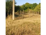 Terreno en venta en José Falcón