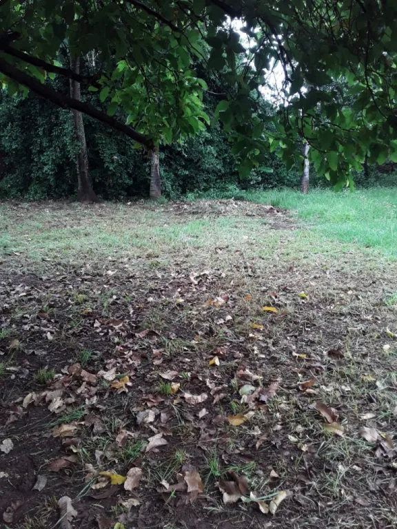 Terreno en venta en Luque — foto 2