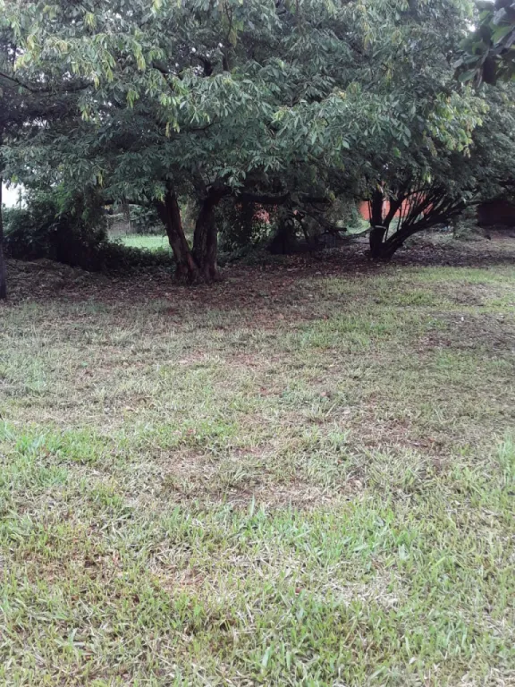 Terreno en venta en Luque — foto 3