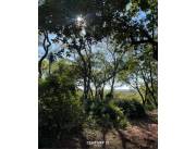 EN VENTA TERRENO EN AREGUÁ EN BOSQUES DE HERMANN