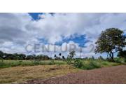 EN VENTA TERRENO EN PEDRO JUAN CABALLERO ID 39225