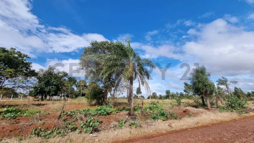 EN VENTA TERRENO EN PEDRO JUAN CABALLERO ID 39225 — foto 2