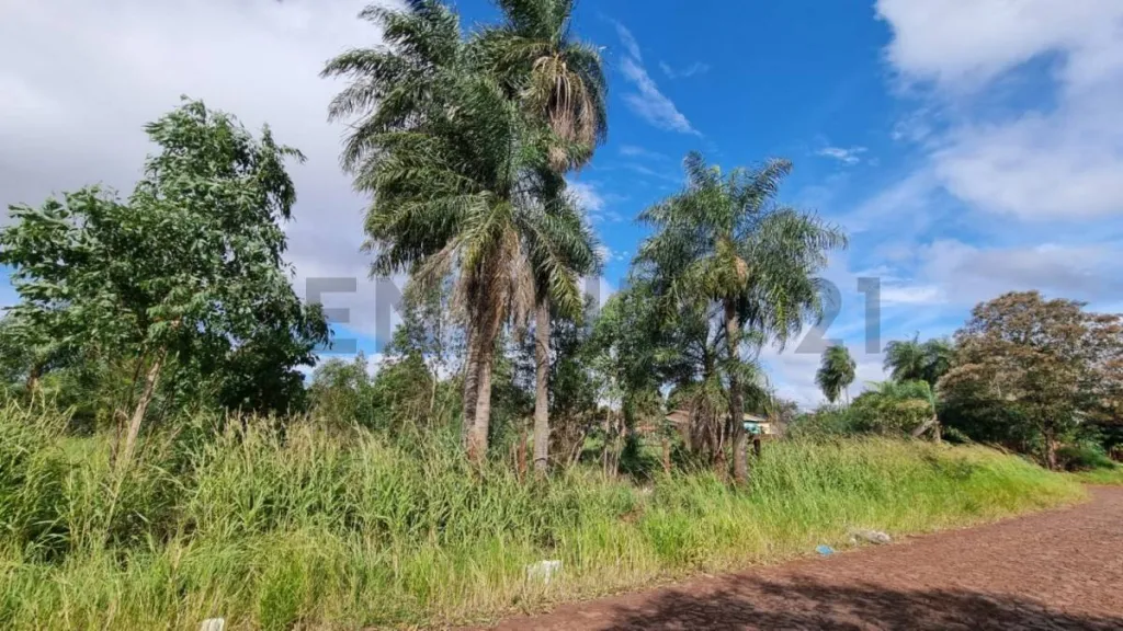 EN VENTA TERRENO EN PEDRO JUAN CABALLERO ID 39225 — foto 3