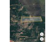 VENDO HERMOSA PROPIEDAD DE 58 HECTAREAS EN LUQUE. CON FRENTE EN LA RUTA LUQUE - SAN BER