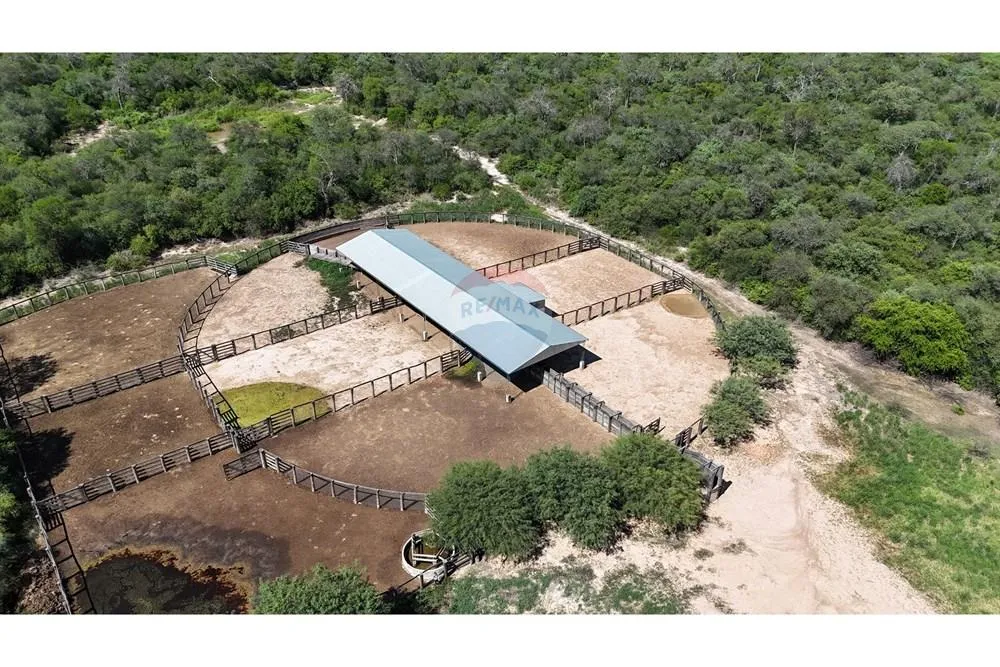 VENDO ESTANCIA EN MARISCAL ESTIGARRIBIA 8.000 HECTAREAS — foto 2