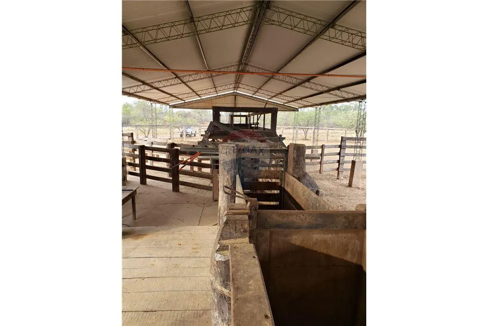 VENDO ESTANCIA EN MARISCAL ESTIGARRIBIA 8.000 HECTAREAS — foto 3