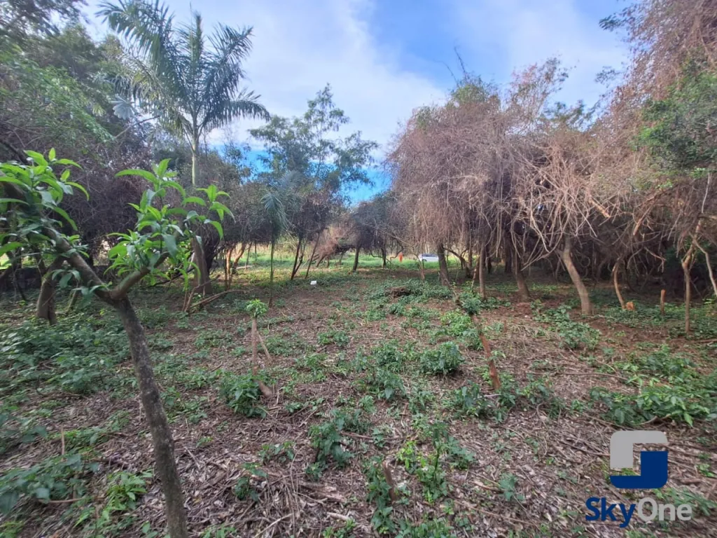 Oportunidad Única Terreno en Venta en Surubií — foto 2