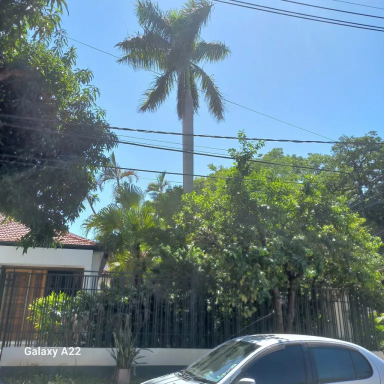BELLEZA — foto 3