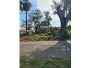 En Venta Terreno San Lorenzo ID 40107