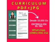 Currículum Vitae Digital PDF+ JPG