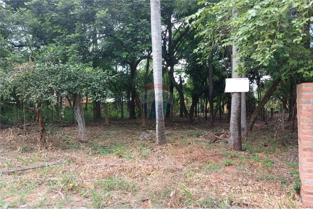 Vendo Hermoso Terreno en Mariano Roque Alonso — foto 3