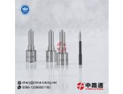 Common Rail Fuel Injector Nozzle L456PBD