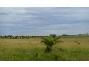 Campo Agrícola/Ganadero en Quyquyho - 745 Ha.