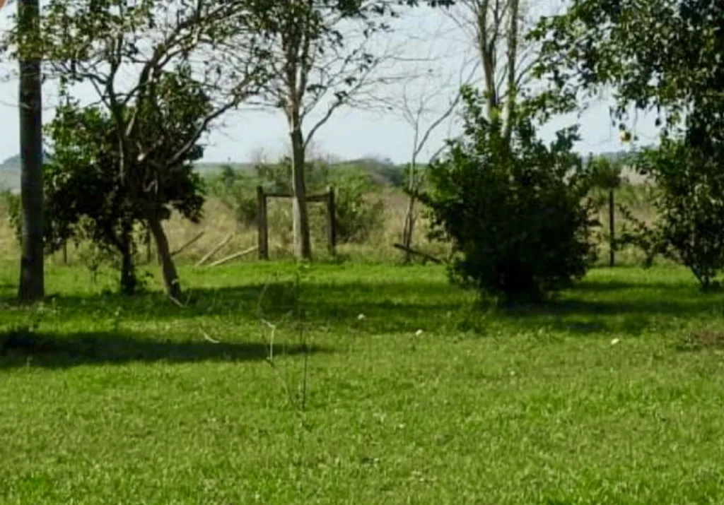 Campo AgrícolaGanadero en Quyquyho - 745 Ha. — foto 3