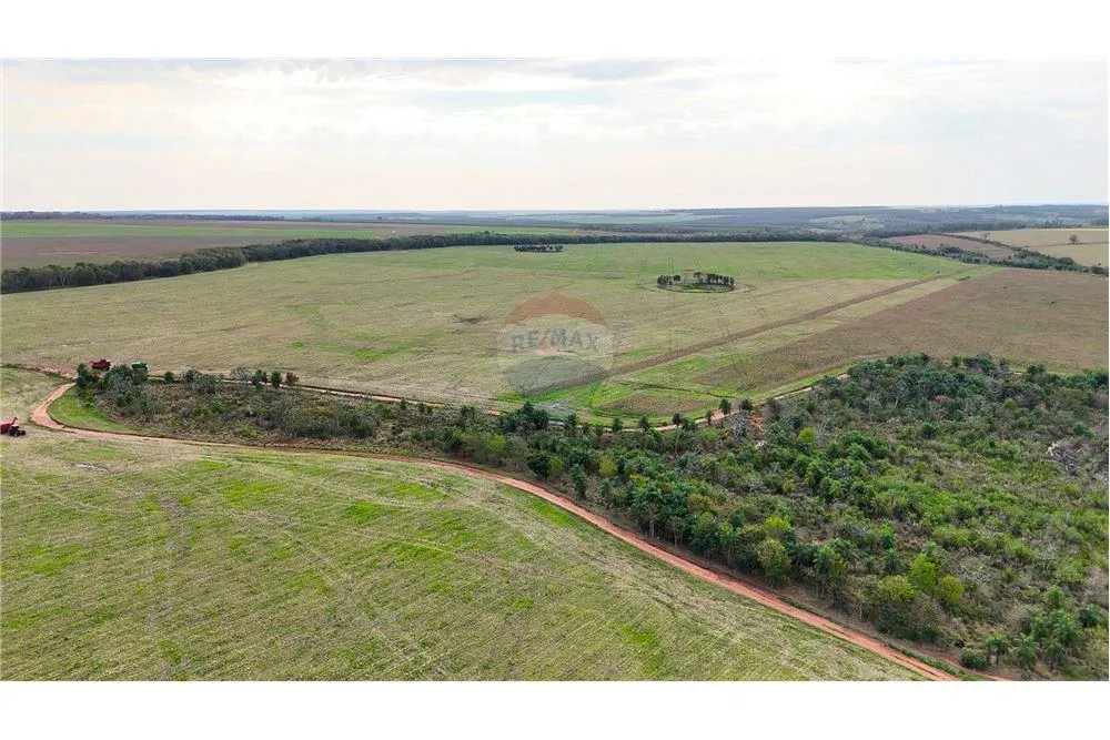 VENDO ESTANCIA PRODUCTIVA EN SAN PEDRO 2.045 HECTAREAS — foto 3