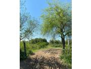 VENDO 4 HECTAREAS EN CHACOI - NUEVA ASUNCION