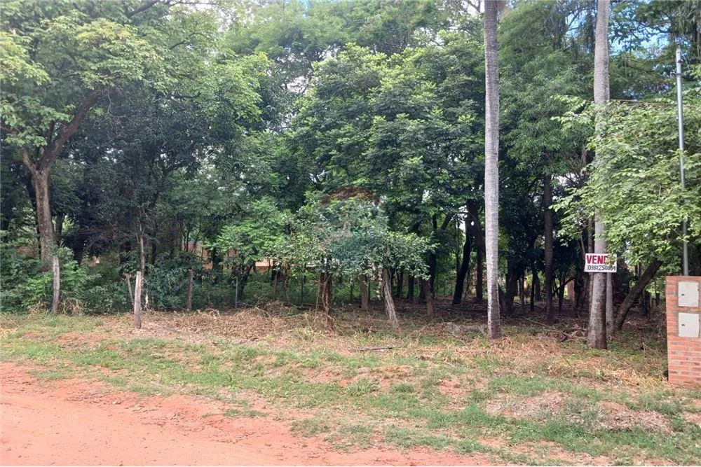 Vendo Hermoso Terreno en Mariano Roque Alonso — foto 3